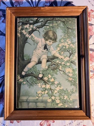 Birds nest antique 1890 - birds,