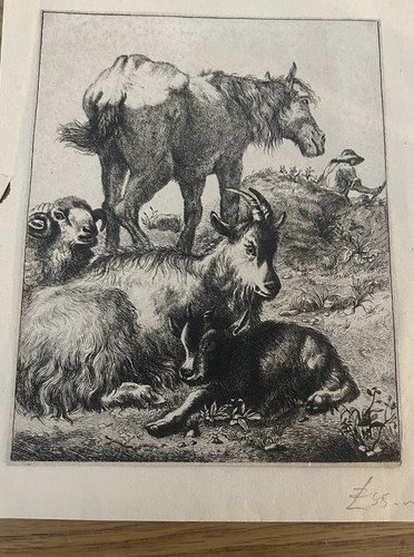 Francesco londonio animals - francesco,