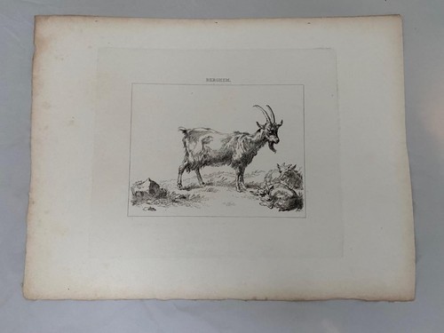 Georgian etching 1822 farming - georgian,
