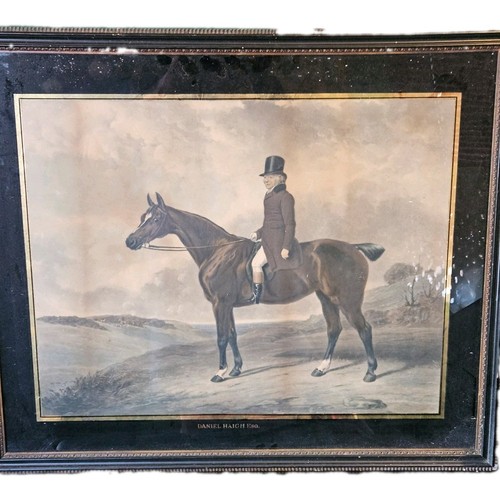 Antique equestrian print - antique,