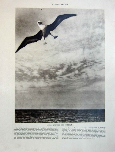 Original old vintage print - original,