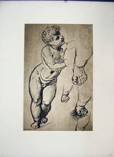 Old antique print raffaelle - old,