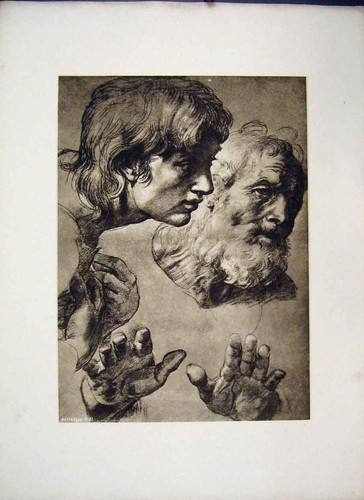 Old antique print raffaelle - old,