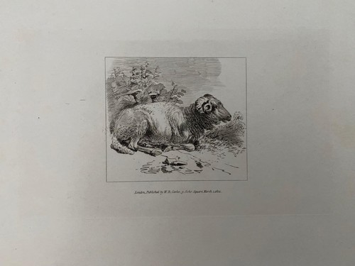 Georgian etching from old - georgian,