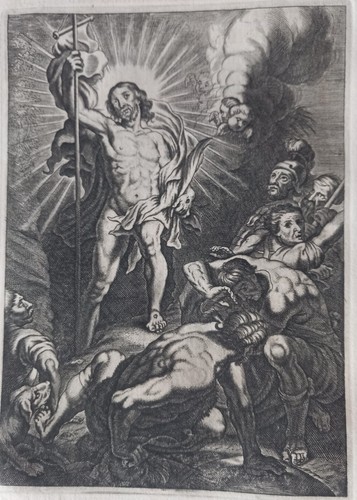 17th flemish old master - flemish,